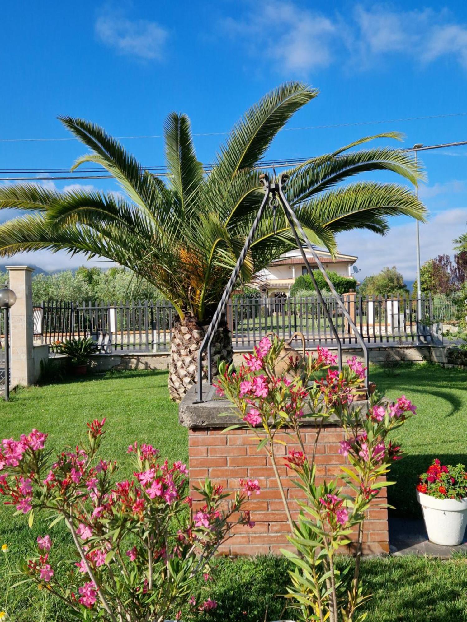 Apartmán Relax In Campagna - Aquino Exteriér fotografie