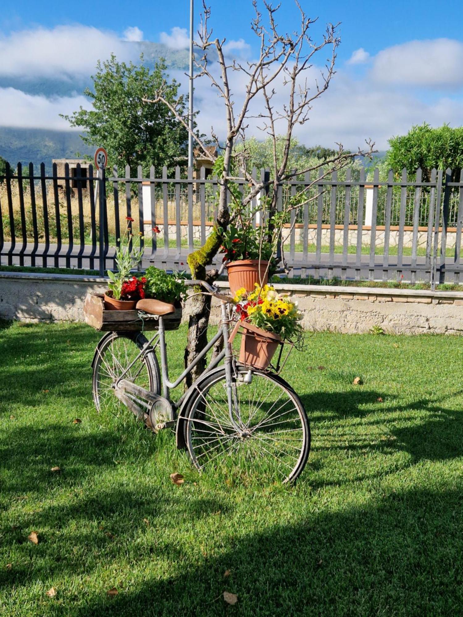 Apartmán Relax In Campagna - Aquino Exteriér fotografie